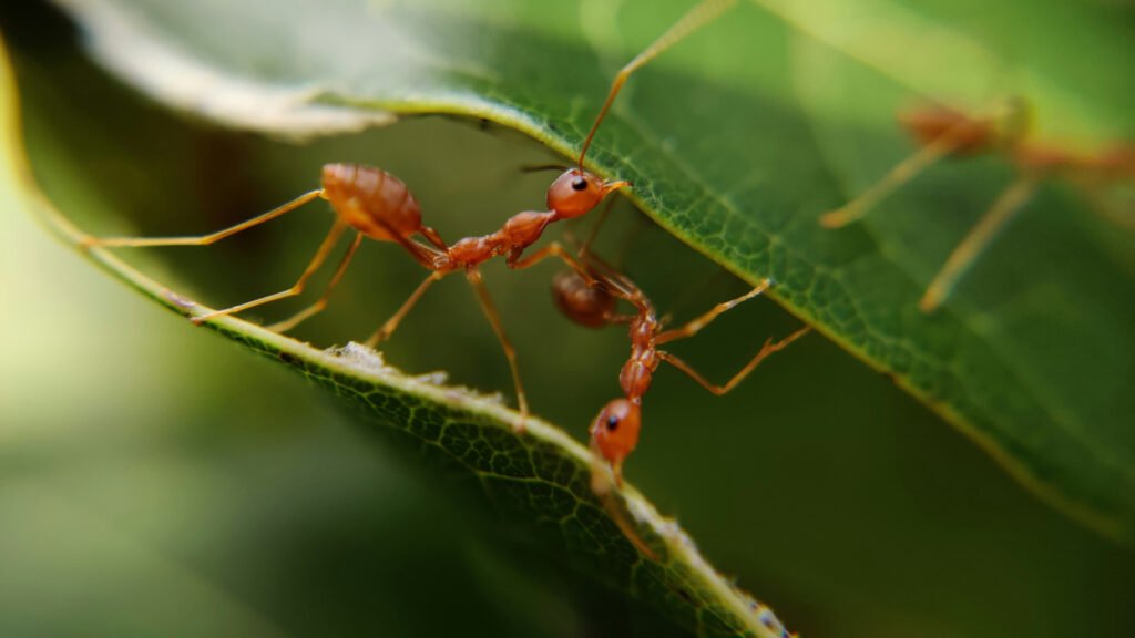 Saumil Parikh Blog Featured Image