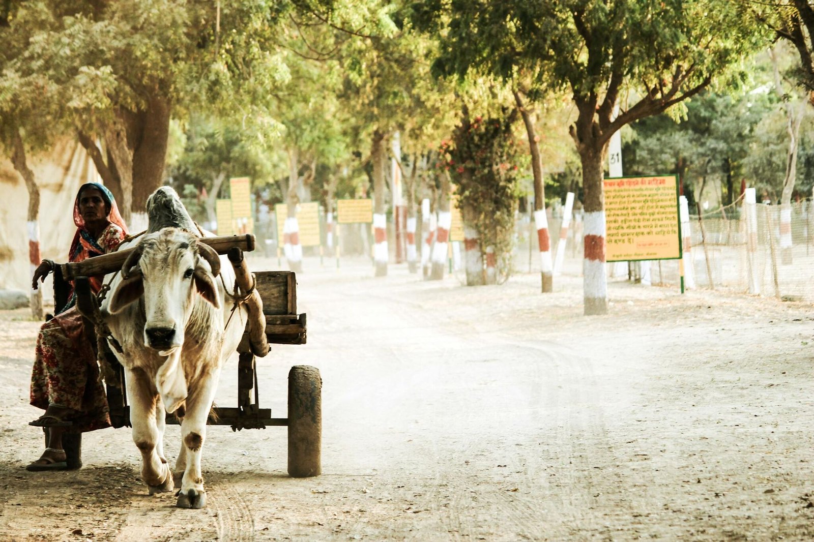 Saumil Parikh on Entrepreneurship in India